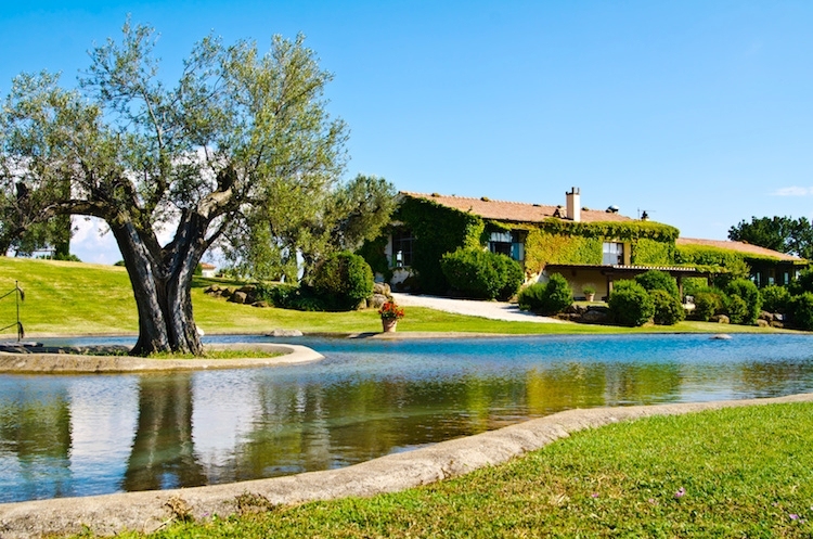 HOTEL DI PROVA - Criptonet