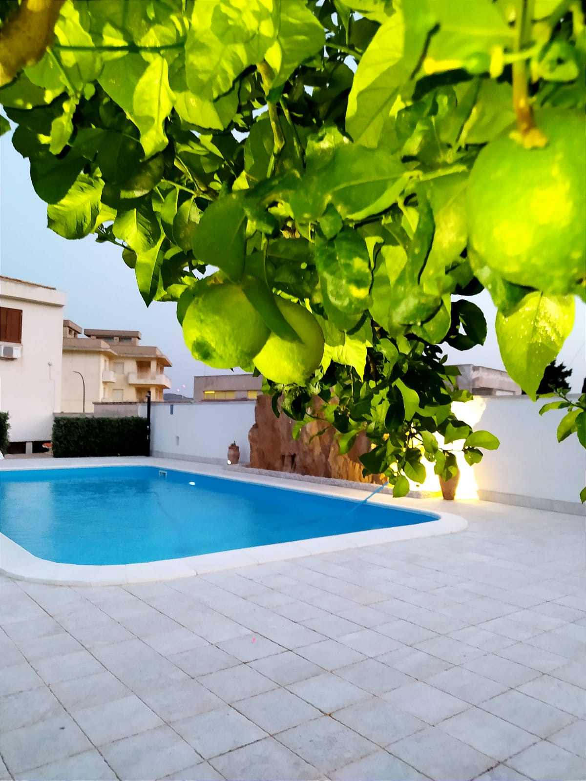 C132288 - Orange Paradise