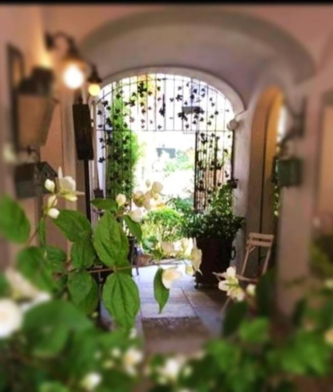 LA CASA SUL GIARDINO_REBUFFO LINDA STEFANIA